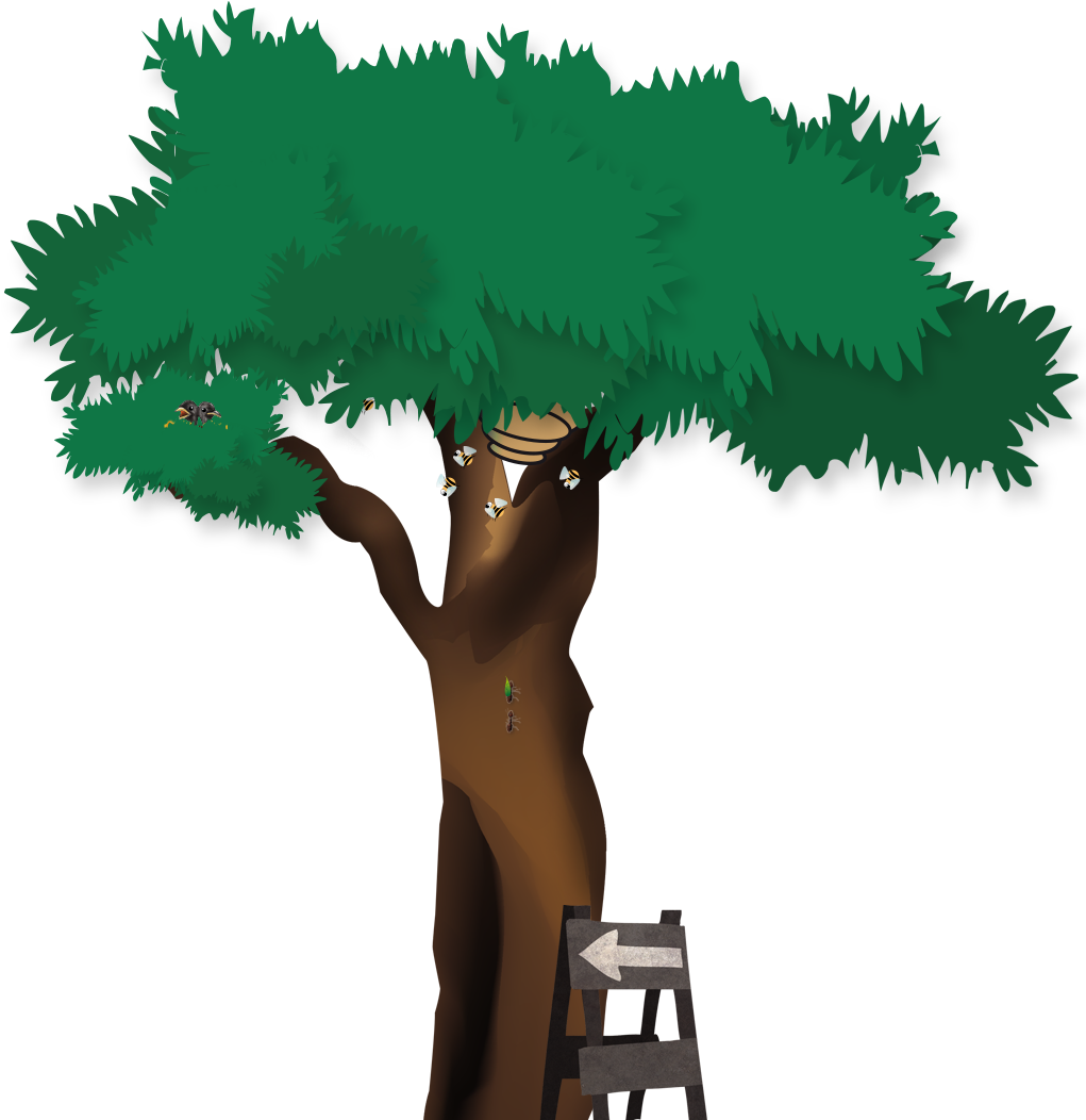 Jungle Clipart Temperate Rainforest - Png Download (1041x1063), Png Download