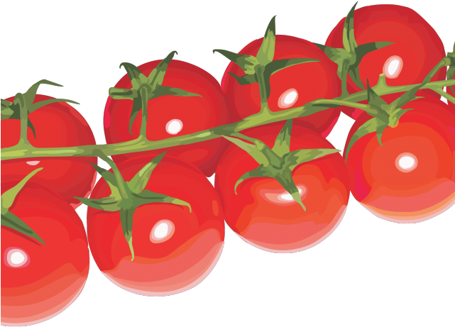 Cherry Tomato Clipart Transparent Background - Png Download (640x480), Png Download