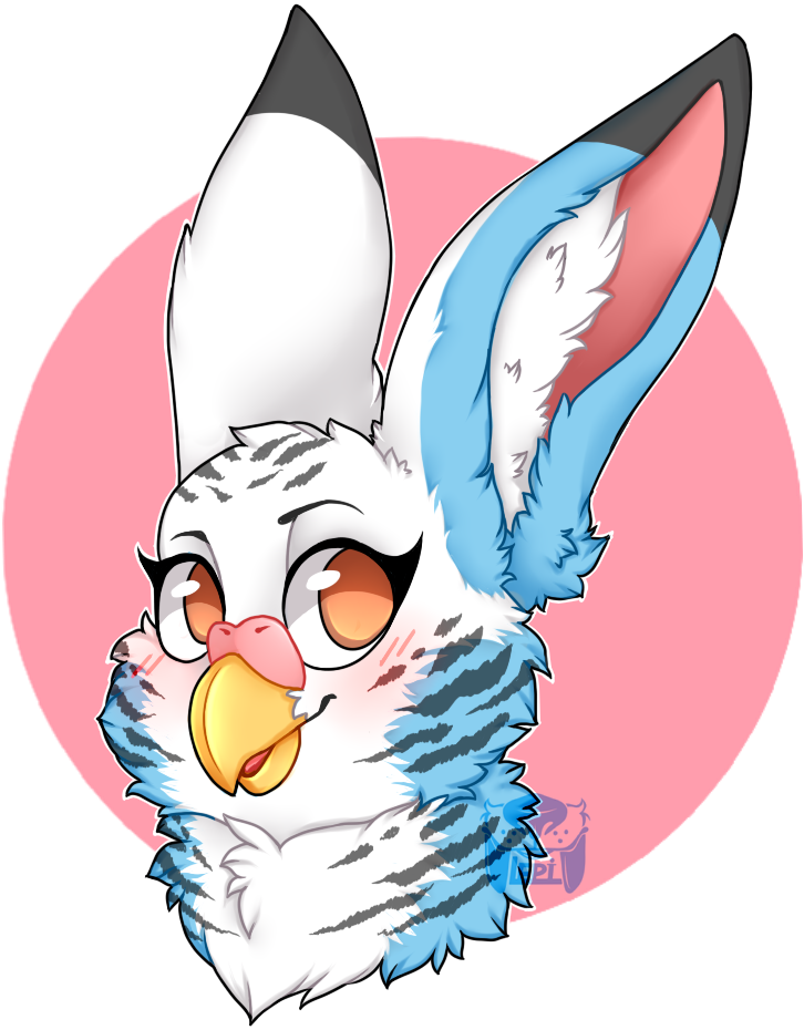 Budgie Gryphon Headshot Clipart (737x989), Png Download