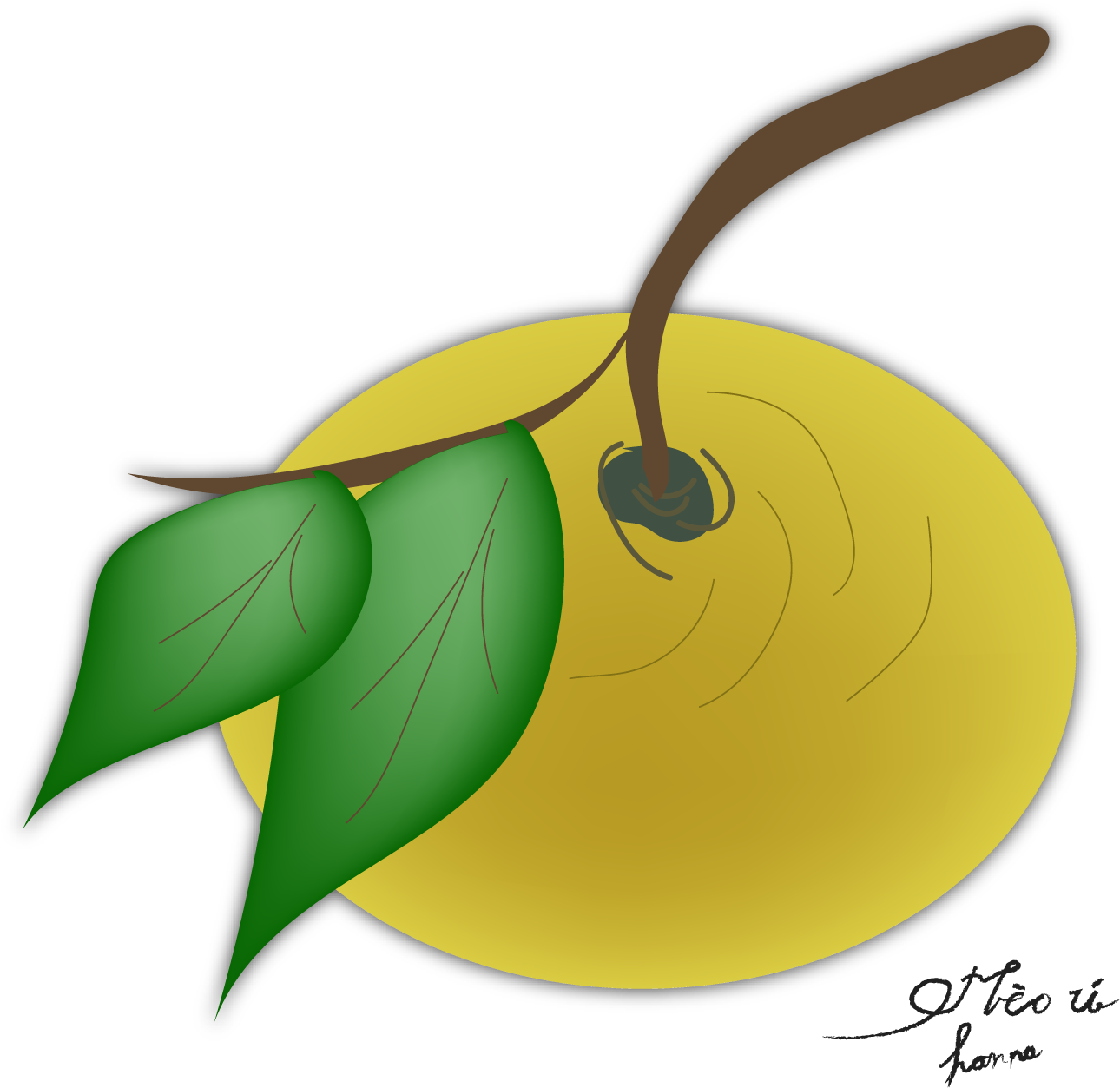 Fruits In Vietnam By Hanna Clipart (1333x1333), Png Download