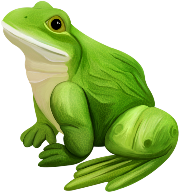 Grenouilles Frog Tube Pinterest Grenouillesfrogtube Clipart (600x656), Png Download