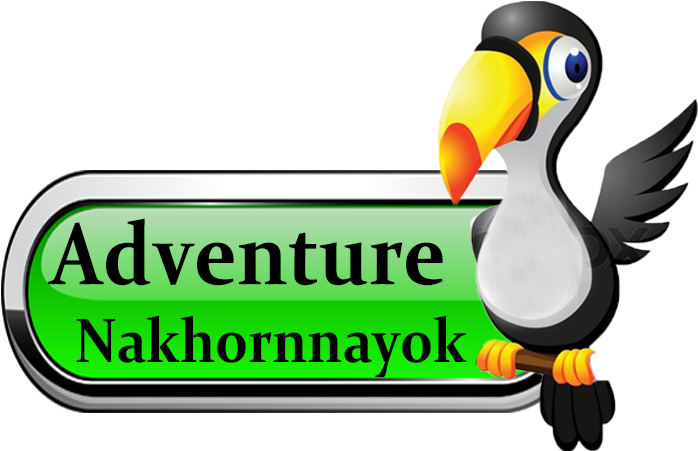 And "adventure In Nakhon Nayok, Ox-cart Riding, Atv, Clipart (700x481), Png Download