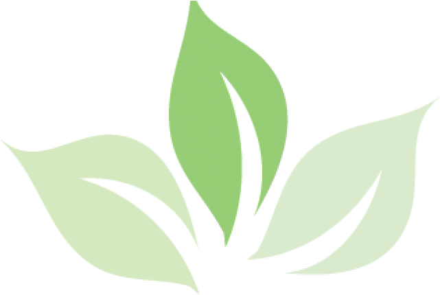 Green Tea Clipart Tea Logo - Png Download (640x480), Png Download