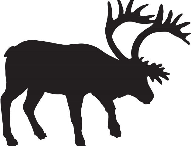 Buck Clipart Dxf - Png Download (640x480), Png Download