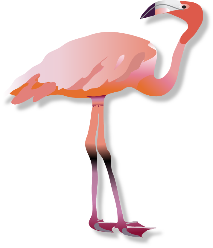 Flamingo Shadow Clipart (712x827), Png Download