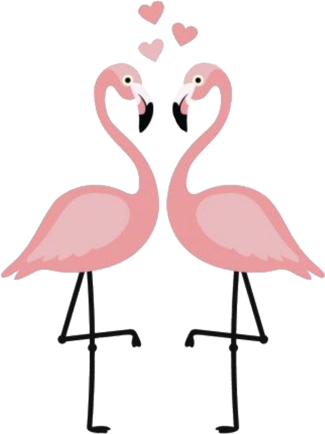 Flamingo Flamingos Festa Decoração Remix Clipart (1024x1024), Png Download