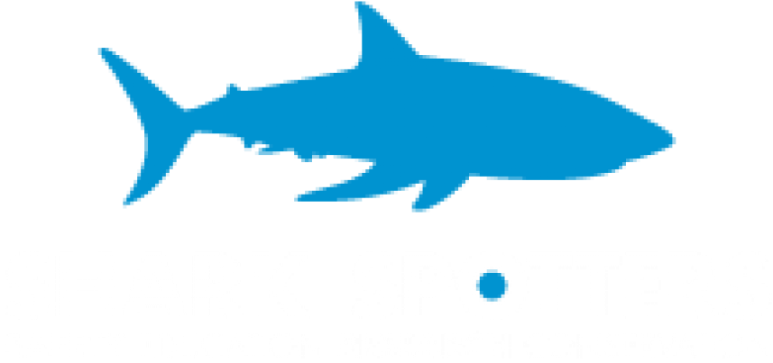 Shark Spotters Clipart (870x480), Png Download