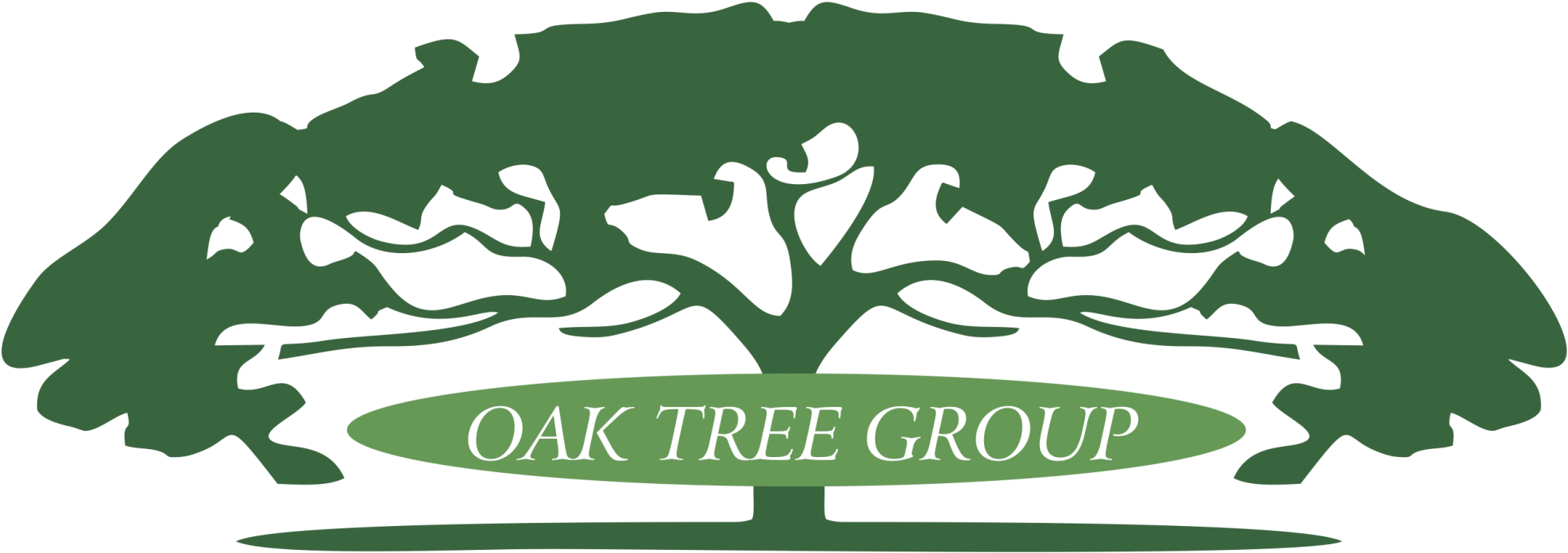 Oak Tree Group Dental And Surgical Headbands Clipart (2048x768), Png Download