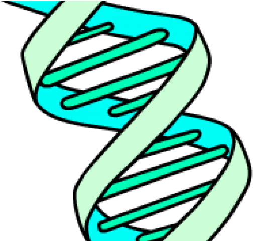 Campfire Clipart Endothermic - Png Download (640x480), Png Download