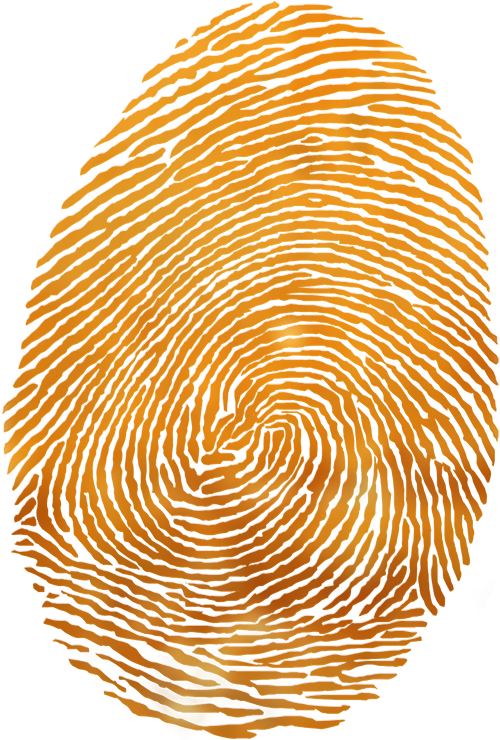 Get Your Free Redpath Content Clipart (500x740), Png Download