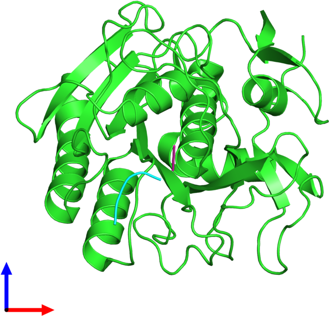 Pdb 1pek Coloured By Chain And Viewed From The Front Clipart (800x800), Png Download