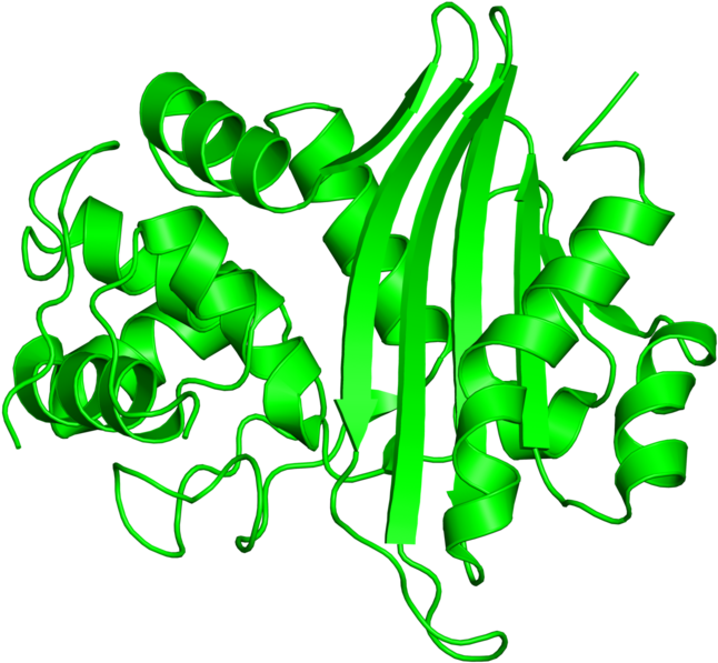 <div Class='caption-body'>2 Copies Of Scop Domain < Clipart (800x800), Png Download