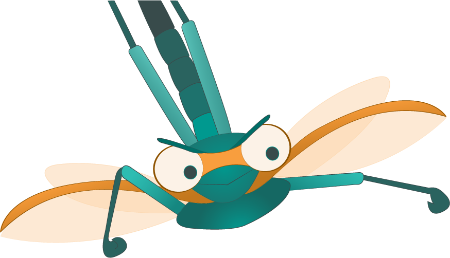 Dragonfly Clipart (874x502), Png Download