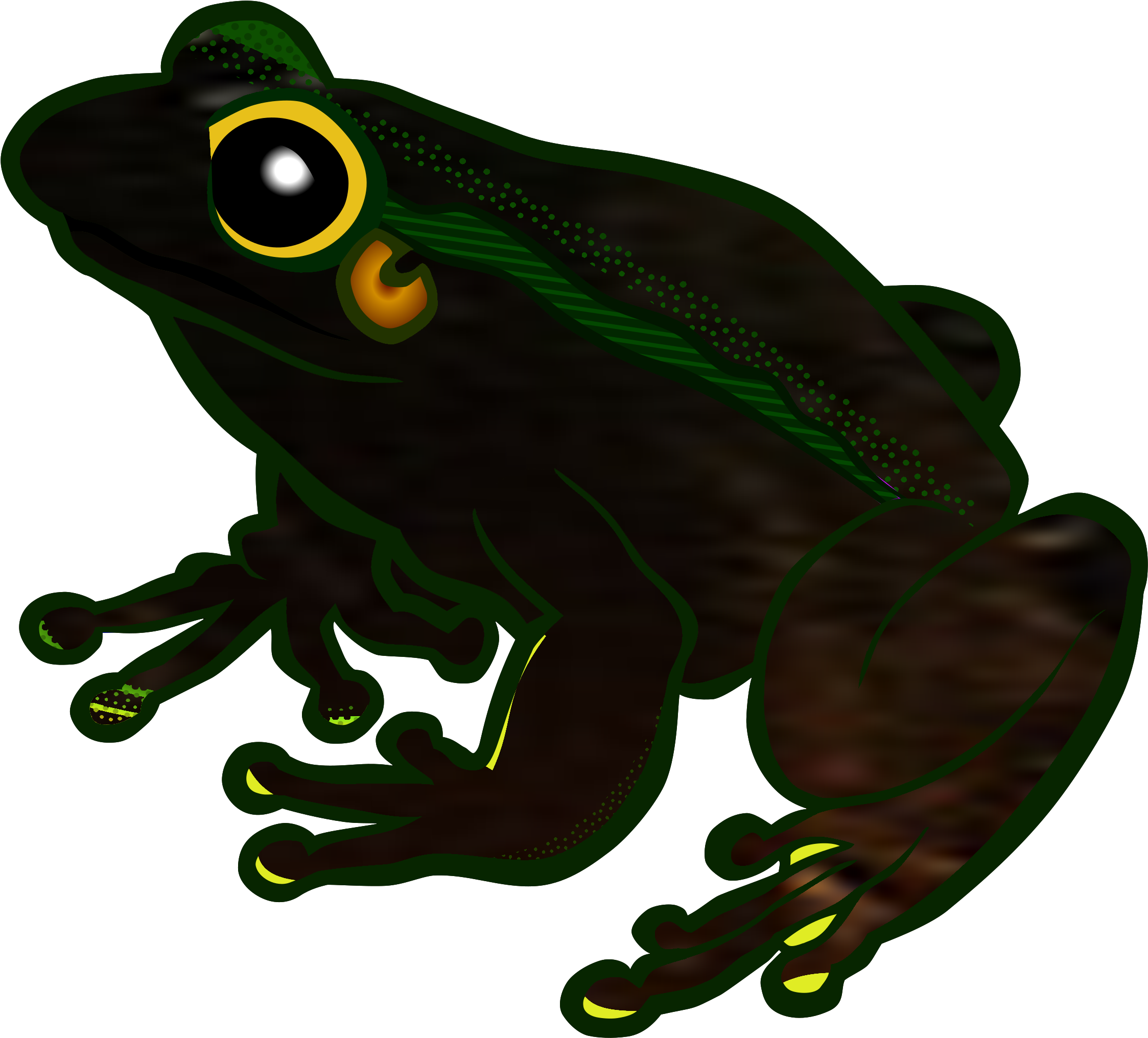 Tree Frog Clipart Transparent - Png Download (2400x2185), Png Download