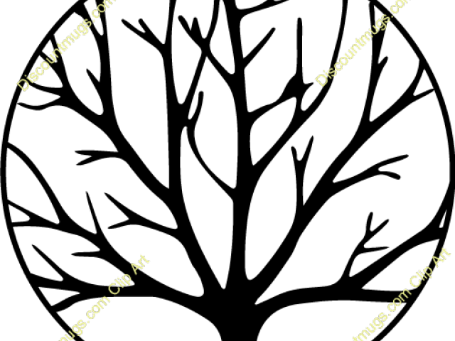 Branch Clipart Swirly - Png Download (640x480), Png Download