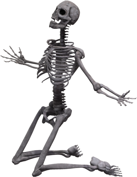 Skeleton Transparent Png Clipart (1024x639), Png Download