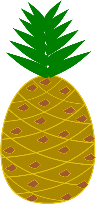 Medium Image Clipart (800x800), Png Download