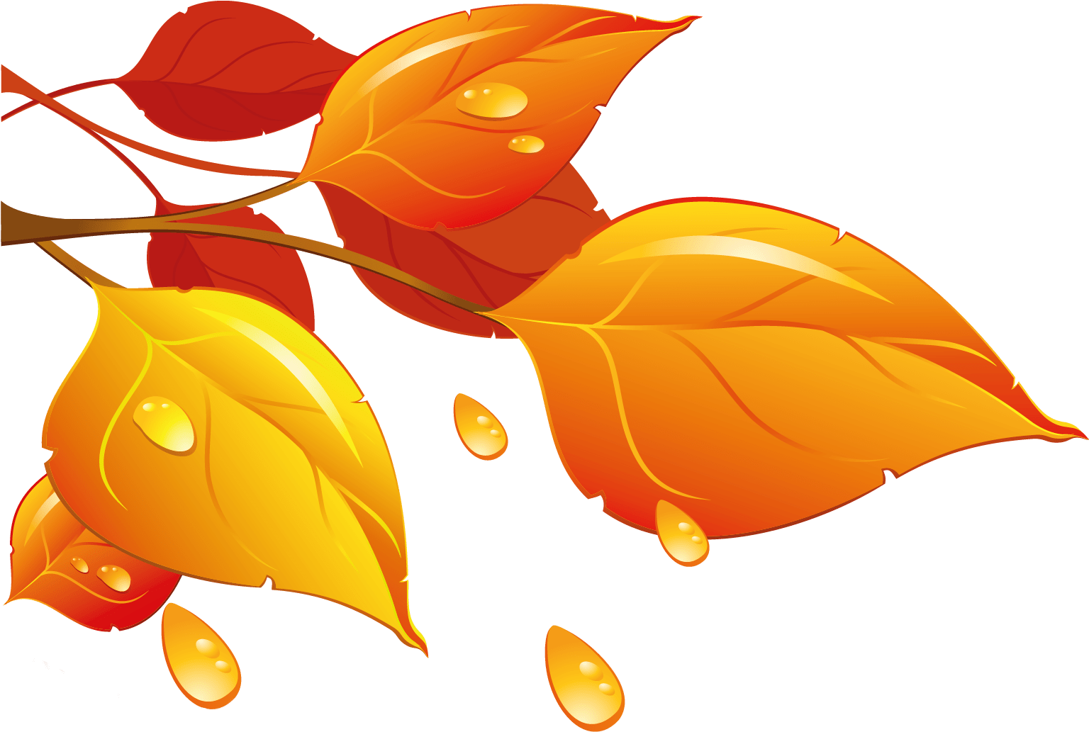 Leaf Clip Art Clear Background 15 Arts For Free On - Png Download (1703x1180), Png Download