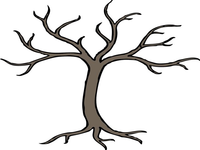Images Of Tree Branches Clipart (640x480), Png Download