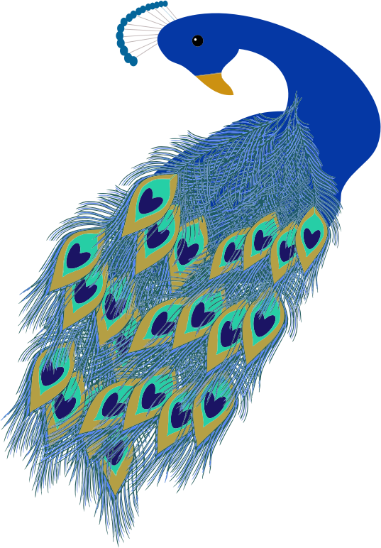 Medium Image Clipart (537x772), Png Download