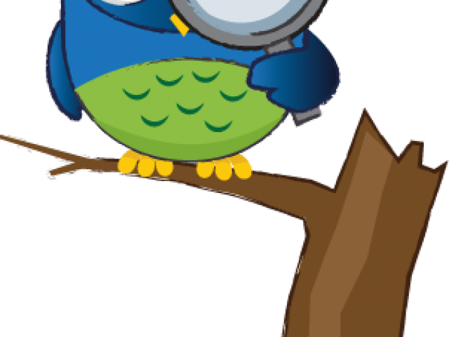 Owl Clipart Education - Png Download (640x480), Png Download