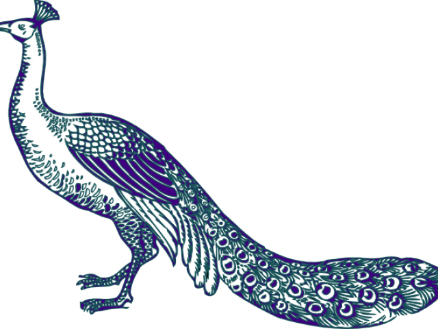 Peafowl Clipart Peacock Logo - Png Download (640x480), Png Download