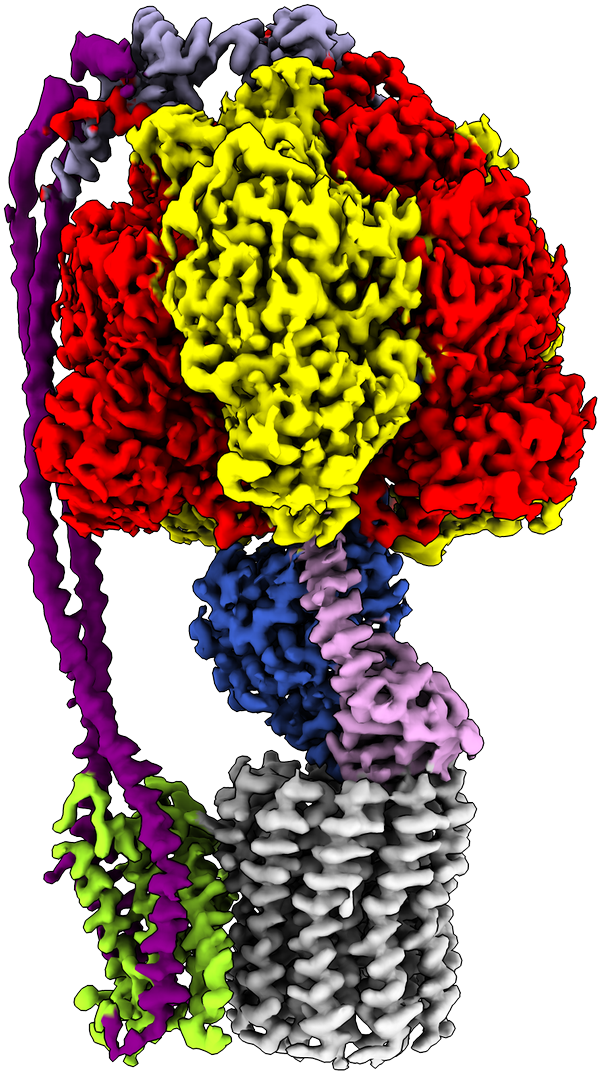 Have A Look At These Maps Pic Clipart (859x1199), Png Download