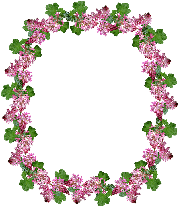 Frame, Border, Flowering Currant Clipart (638x720), Png Download