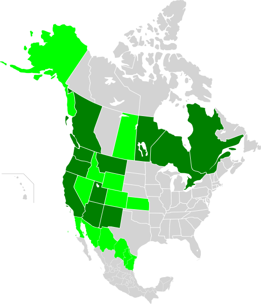 206 × 240 Pixels Clipart (516x600), Png Download