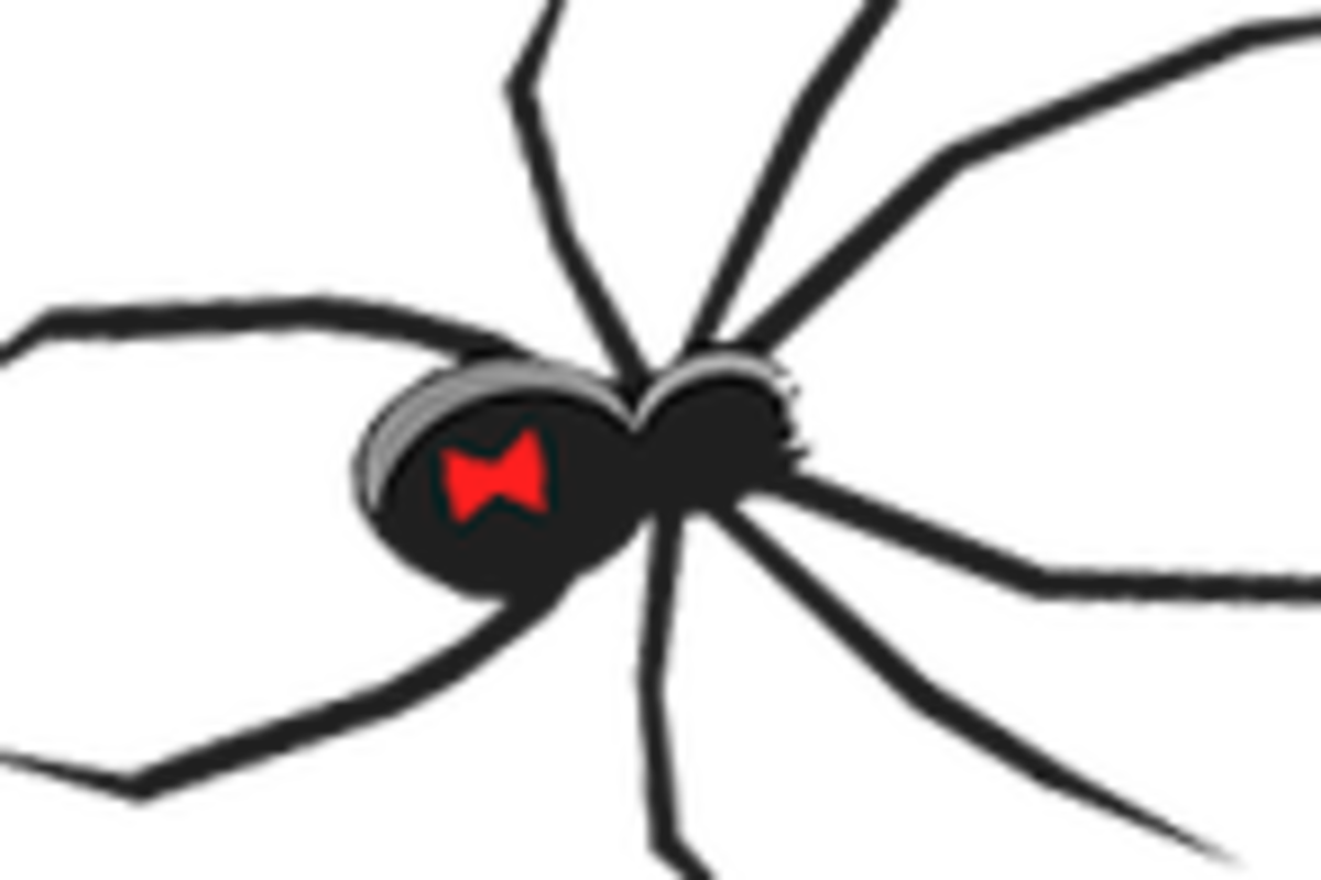 Halloween Looks Clipart (1200x800), Png Download