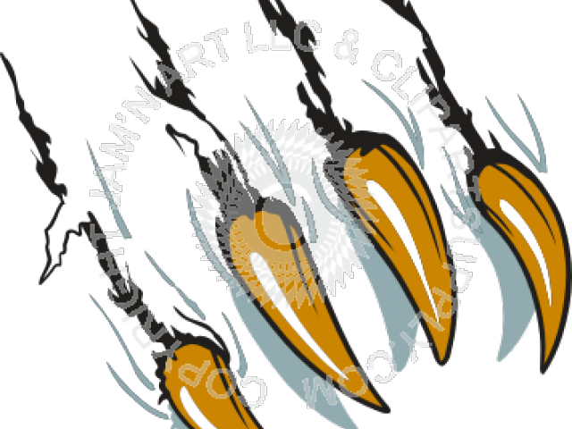 Download Scratches Clipart Cougar Claw Png Download 3088128 Pinclipart