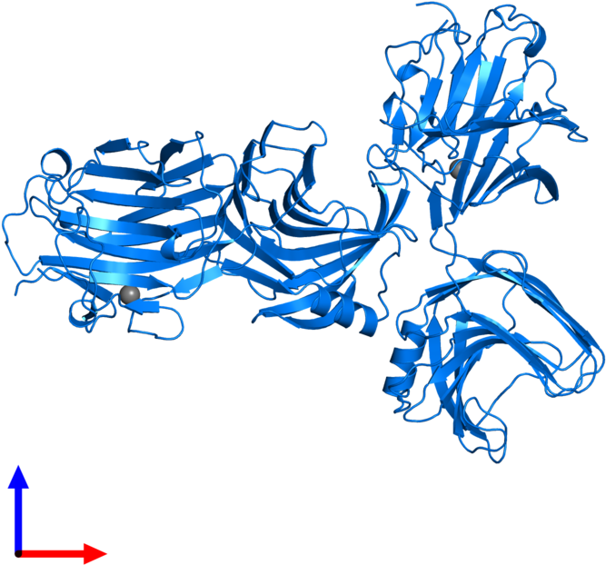 <div Class='caption-body'>pdb Entry 1axk Contains 2 Clipart (800x800), Png Download