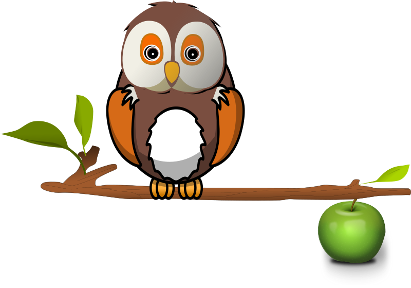 Owl On Branch By Karthikeyan Owl On Branch Clipart (800x560), Png Download