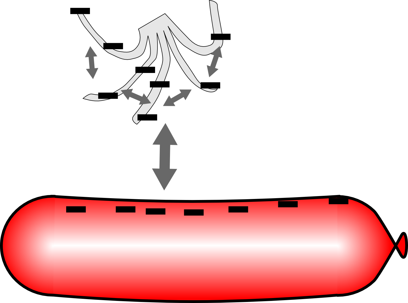 The Negative Charges On The Balloon And The Plastic Clipart (1560x1159), Png Download