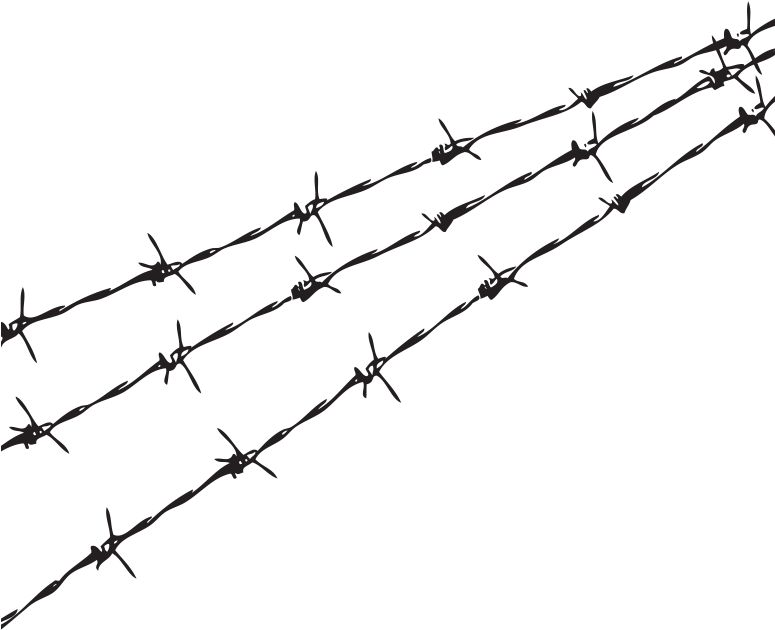 Barbwire Transparent Images Png Clipart (774x727), Png Download