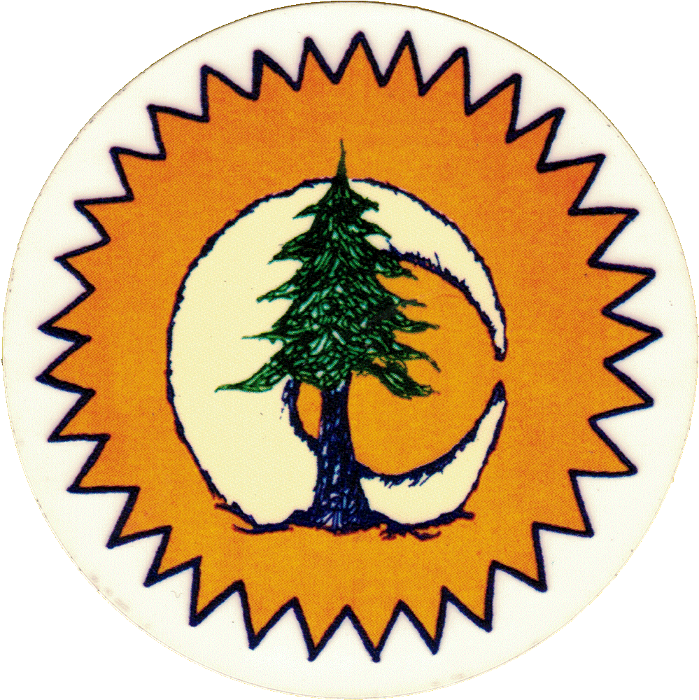 Sun Moon Pine Tree Clipart (999x1000), Png Download