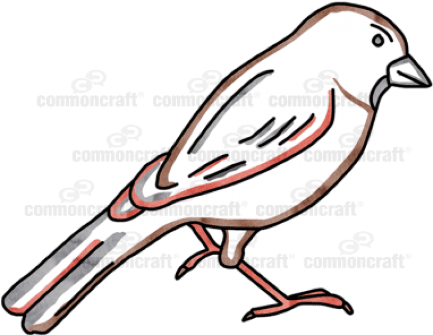Free Png Download Bird Png Images Background Png Images Clipart (850x659), Png Download