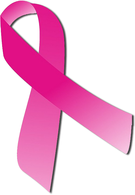 Free Png Download Pink Breast Cancer Ribbon Transparent Clipart (480x696), Png Download