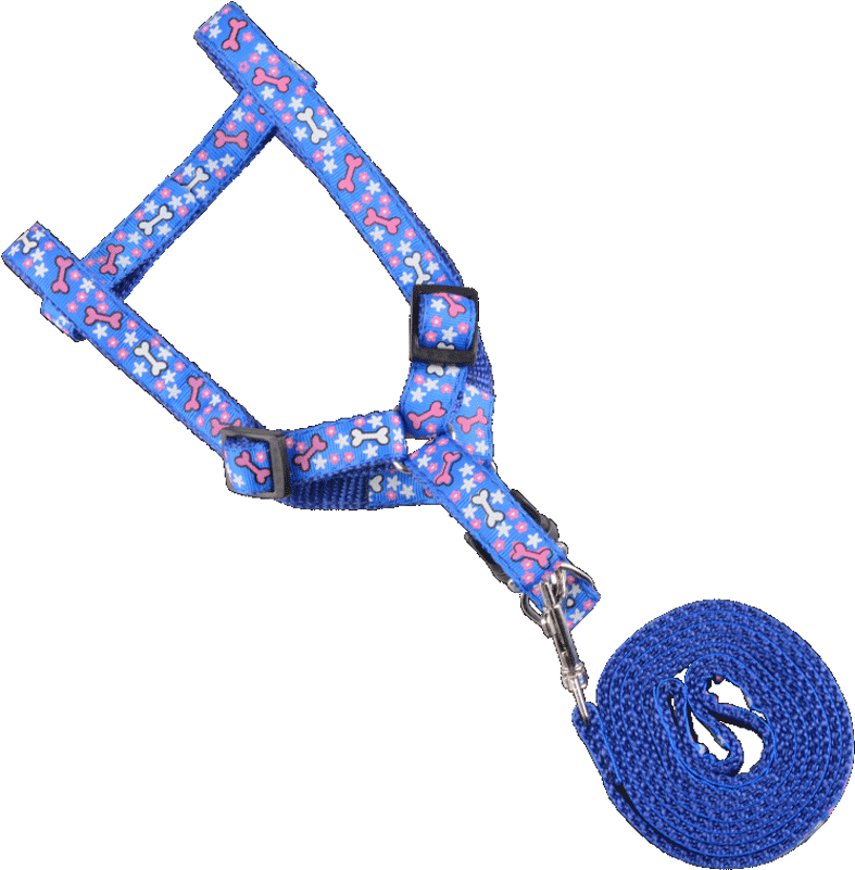 Rabbit Leash Rabbit Rabbit Rope Supplies Chain Small Clipart (800x800), Png Download