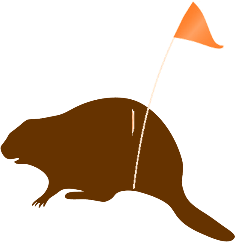 Muskrat Clipart - Png Download (907x883), Png Download