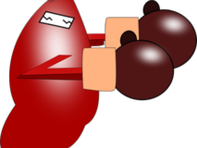 Mantis Clipart Boxing - Png Download (640x480), Png Download