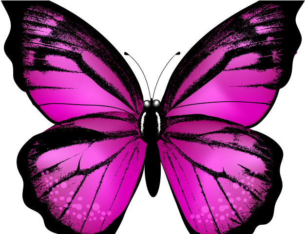 Pink Clipart Butterfly - Png Download (640x480), Png Download