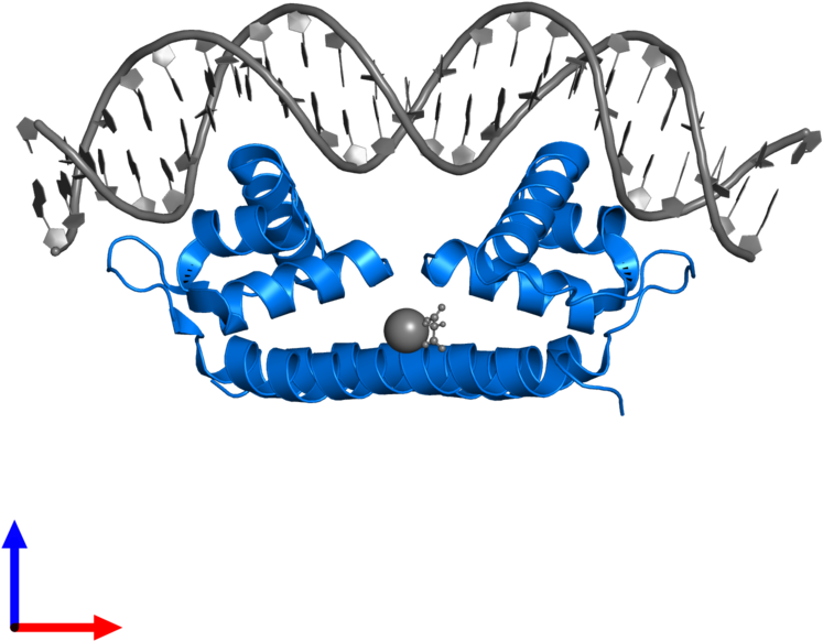 <div Class='caption-body'>pdb Entry 4ihs Contains 2 Clipart (800x800), Png Download