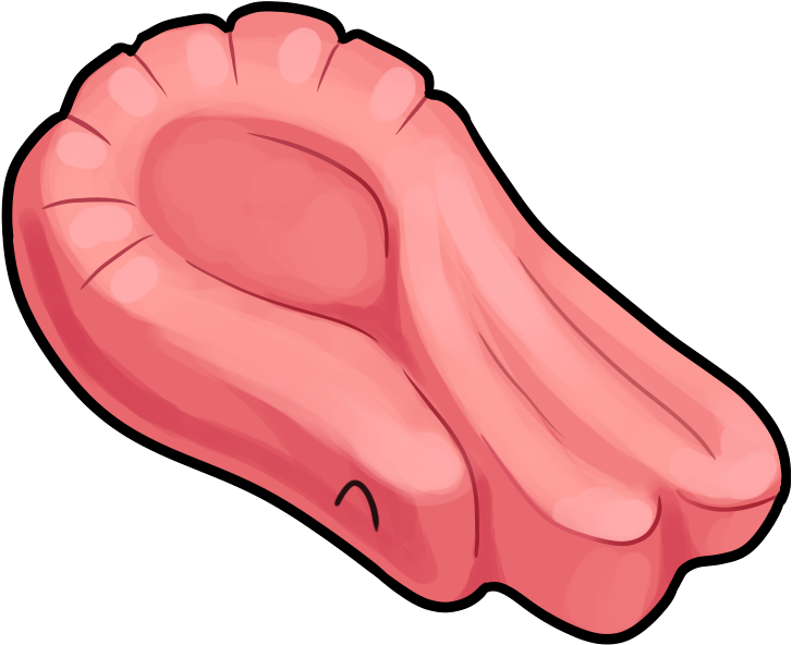 Pink Prawn Clipart (800x800), Png Download