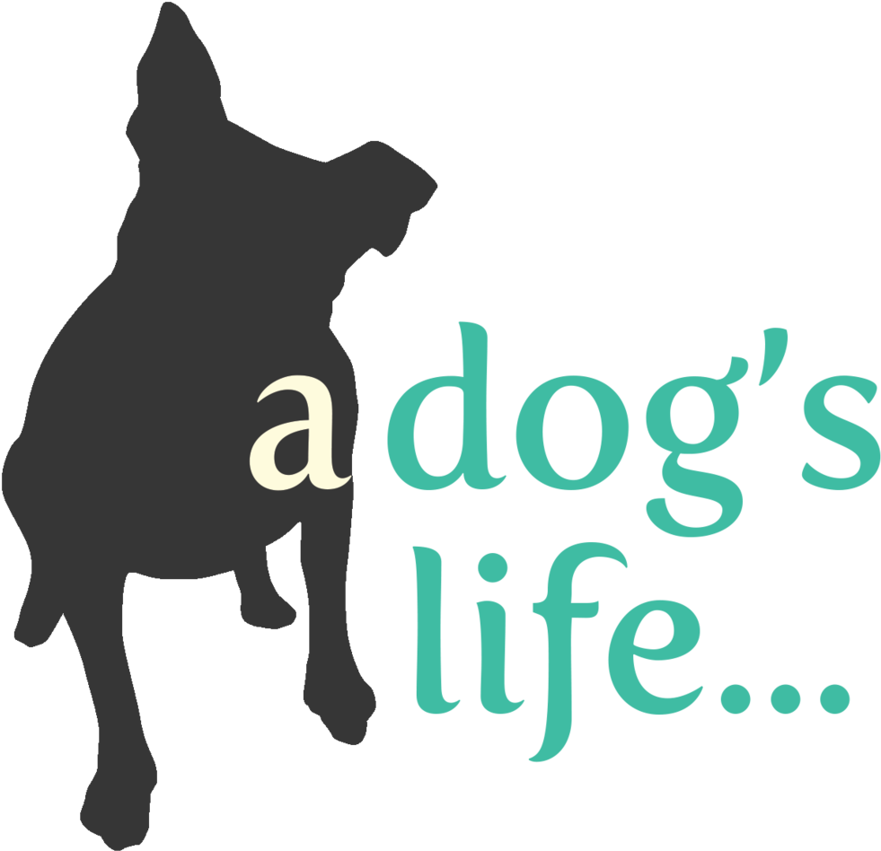 Dog Agility Clipart - Png Download (1000x994), Png Download