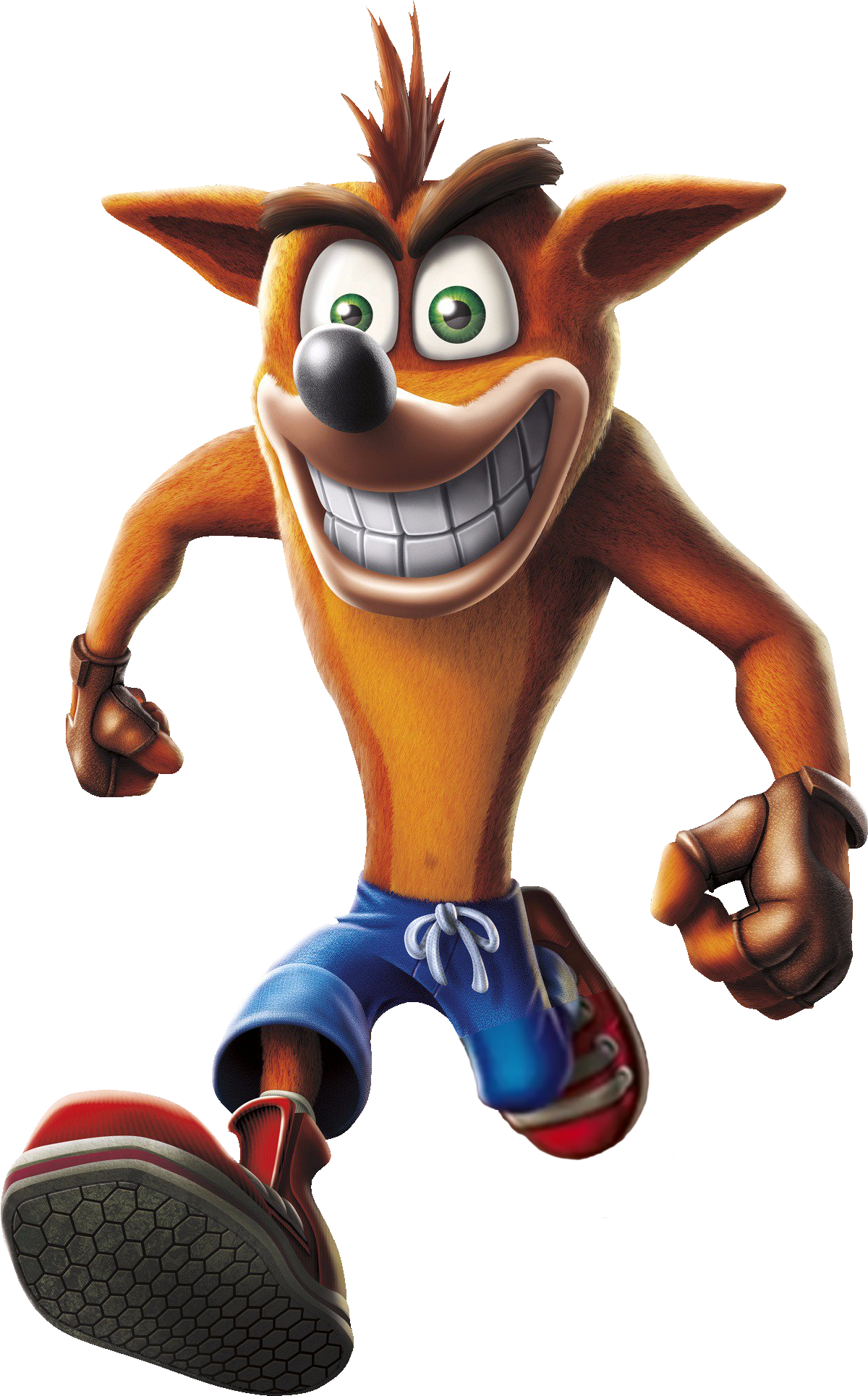 Crash Bandicoot Clipart (1224x1936), Png Download