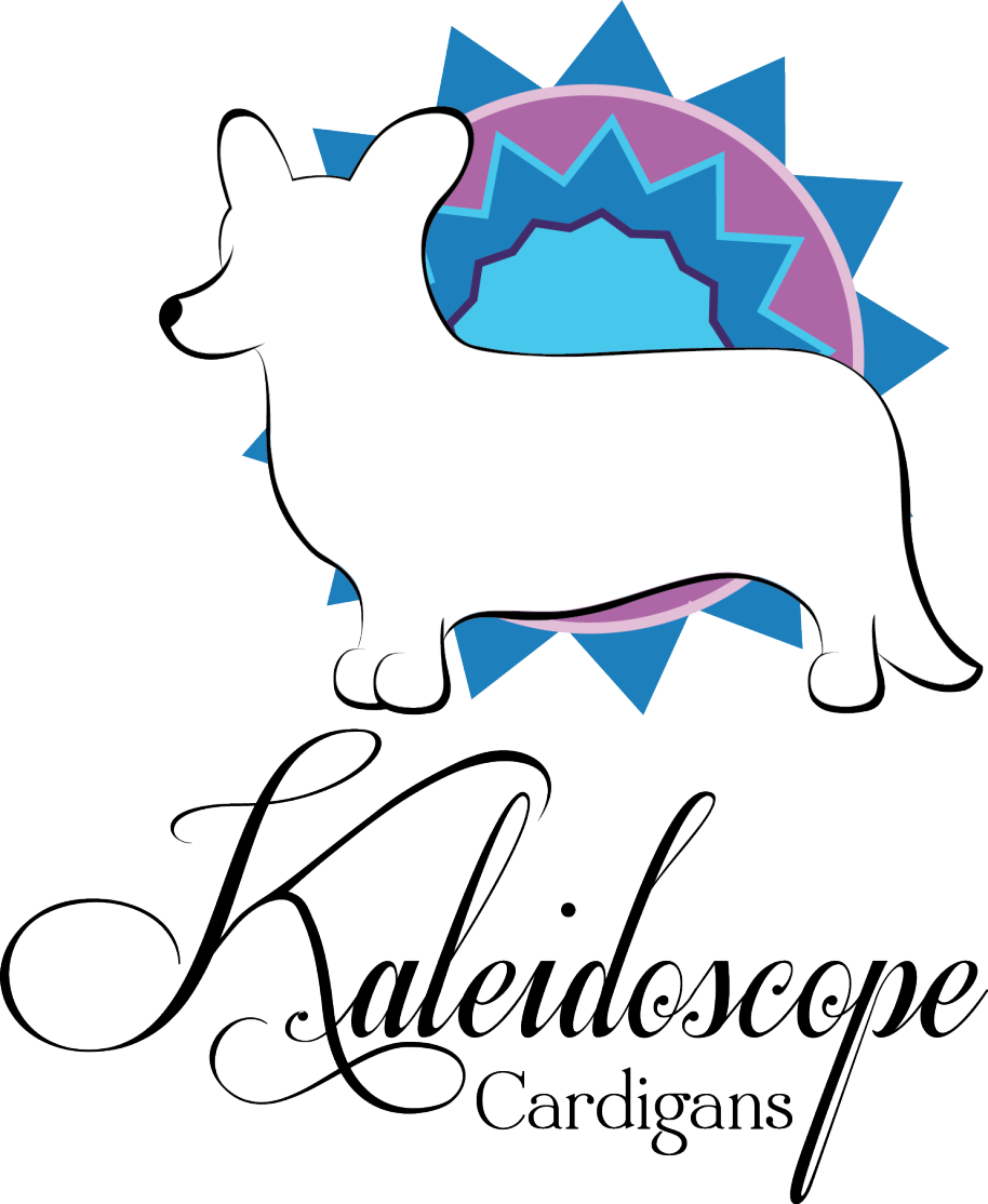 Logo3 Clipart (914x1114), Png Download