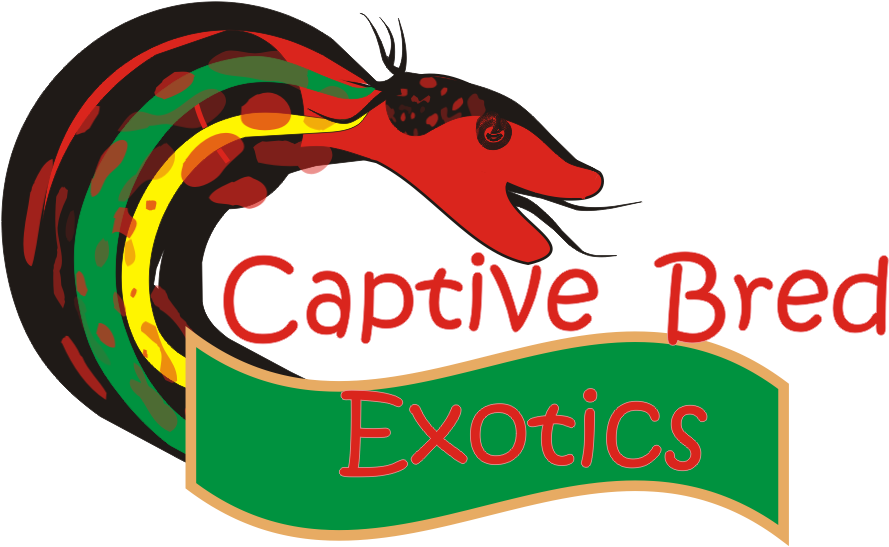 Bold, Feminine Logo Design For Captive Bred Exotics Clipart (940x592), Png Download