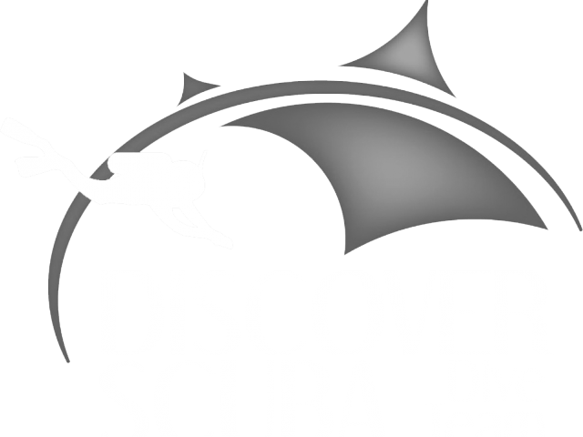 Scuba Diver Clipart Marine Biologist - Png Download (640x480), Png Download