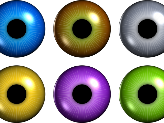 Iris Clipart Eye Pupil - Png Download (640x480), Png Download